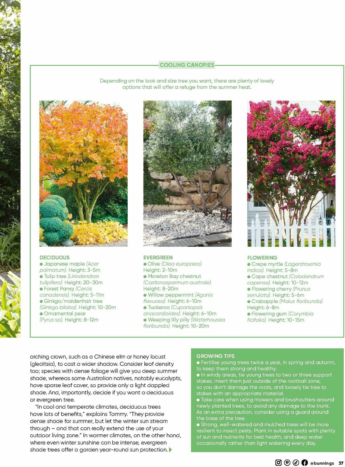 Bunnings Warehouse Magazine October Catalogues from 1 October