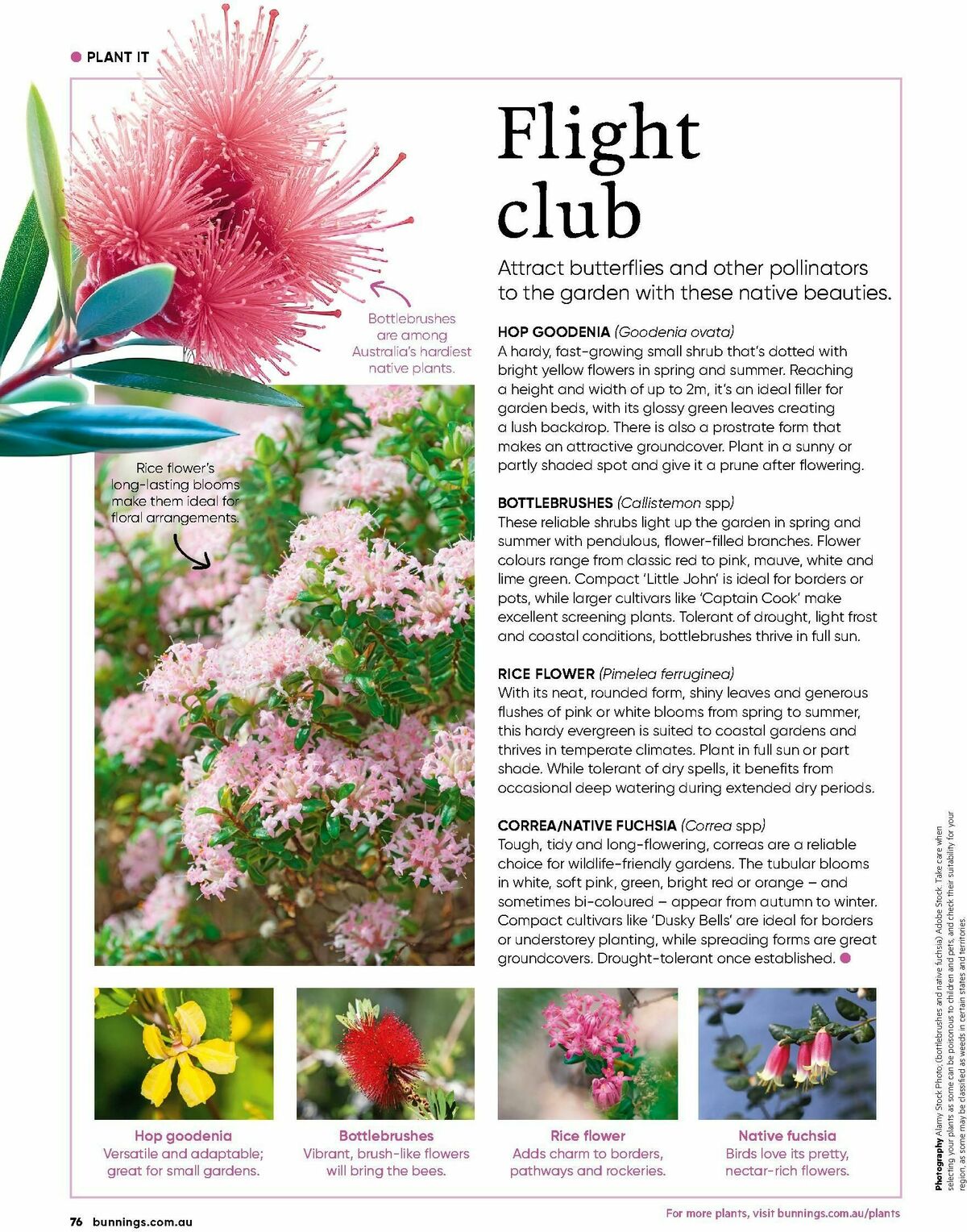 Bunnings Warehouse Magazine October Catalogues from 1 October