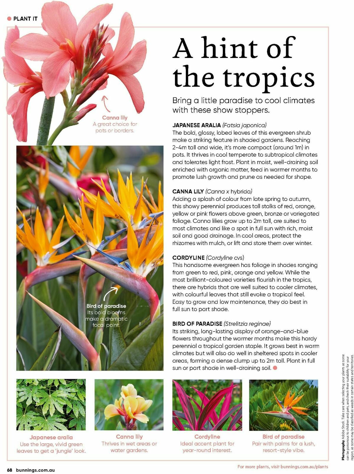 Bunnings Warehouse Magazine November Catalogues from 1 November