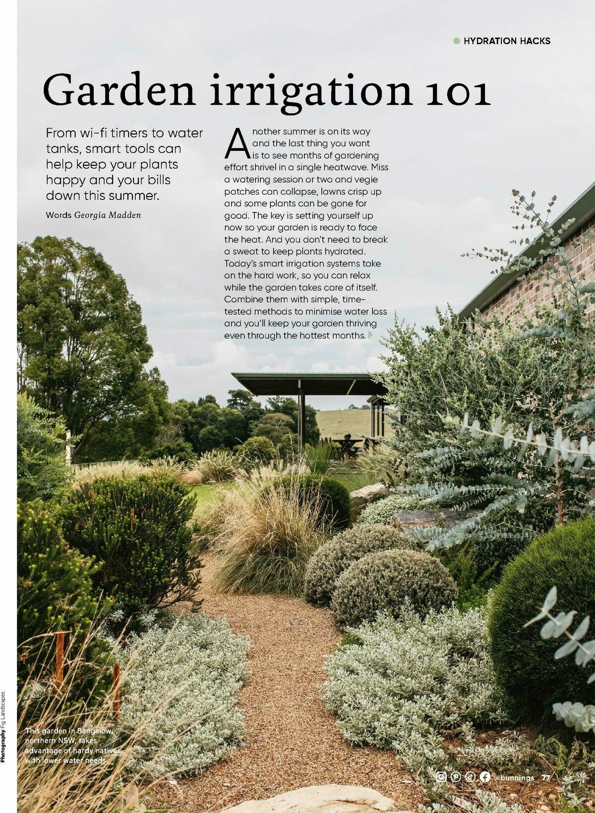 Bunnings Warehouse Magazine November Catalogues from 1 November