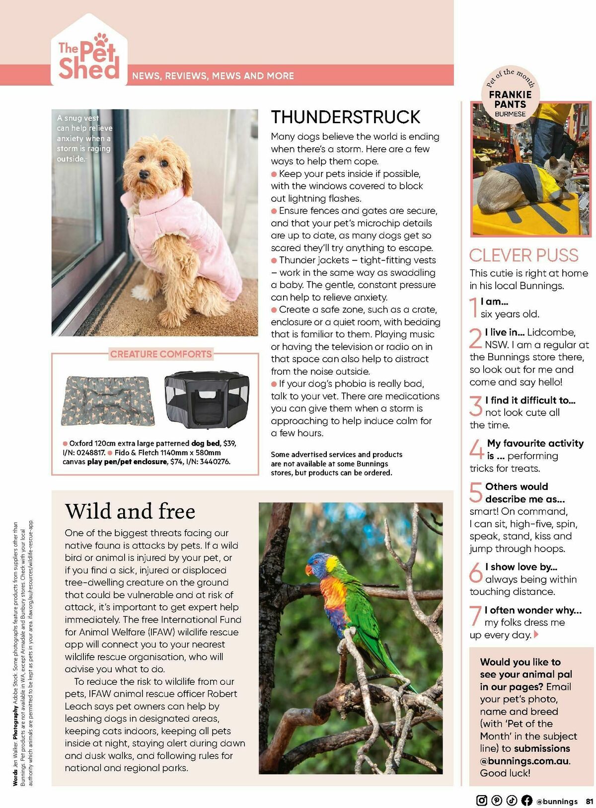 Bunnings Warehouse Magazine November Catalogues from 1 November