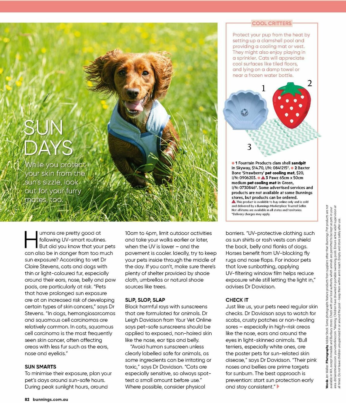 Bunnings Warehouse Magazine November Catalogues from 1 November