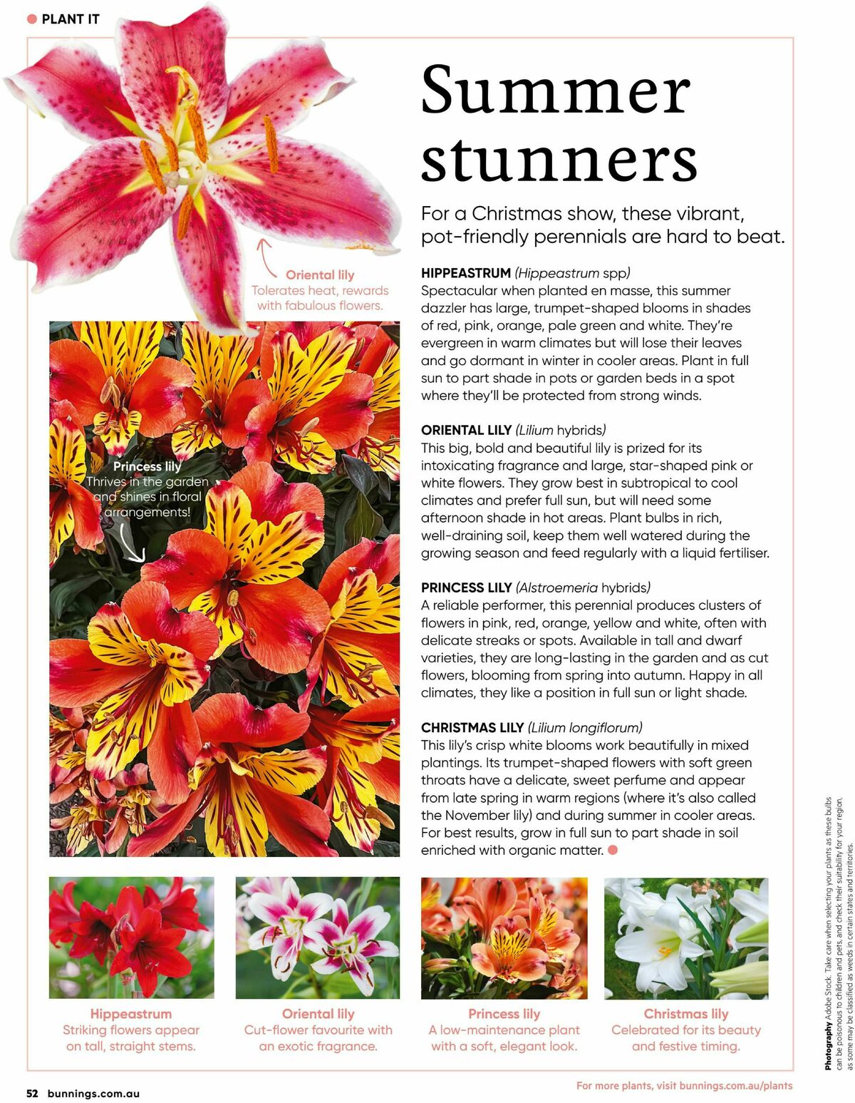 Bunnings Warehouse Magazine December Catalogues from 1 December