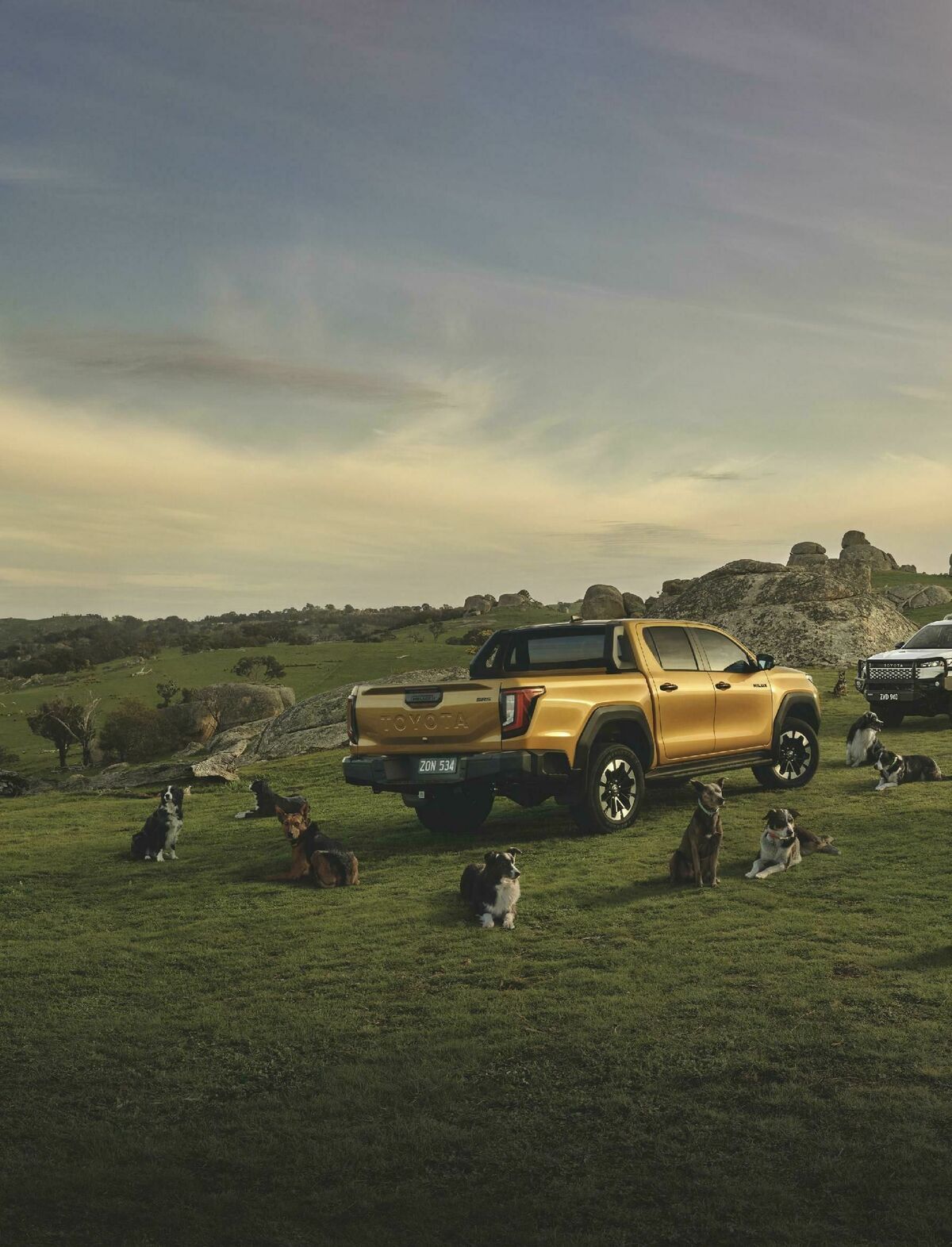 Bunnings Warehouse Magazine January Catalogues from 1 January