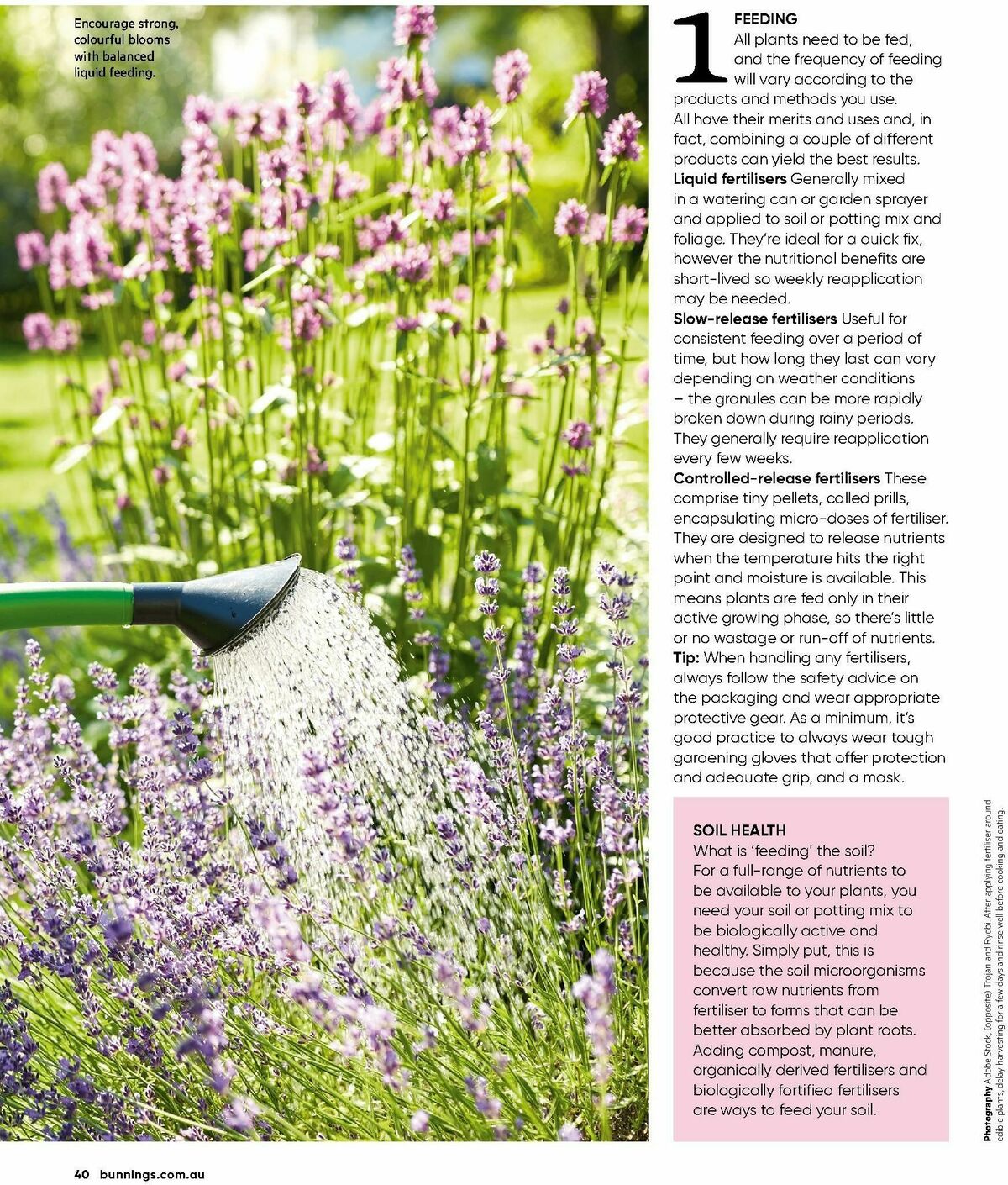 Bunnings Warehouse Magazine January Catalogues from 1 January