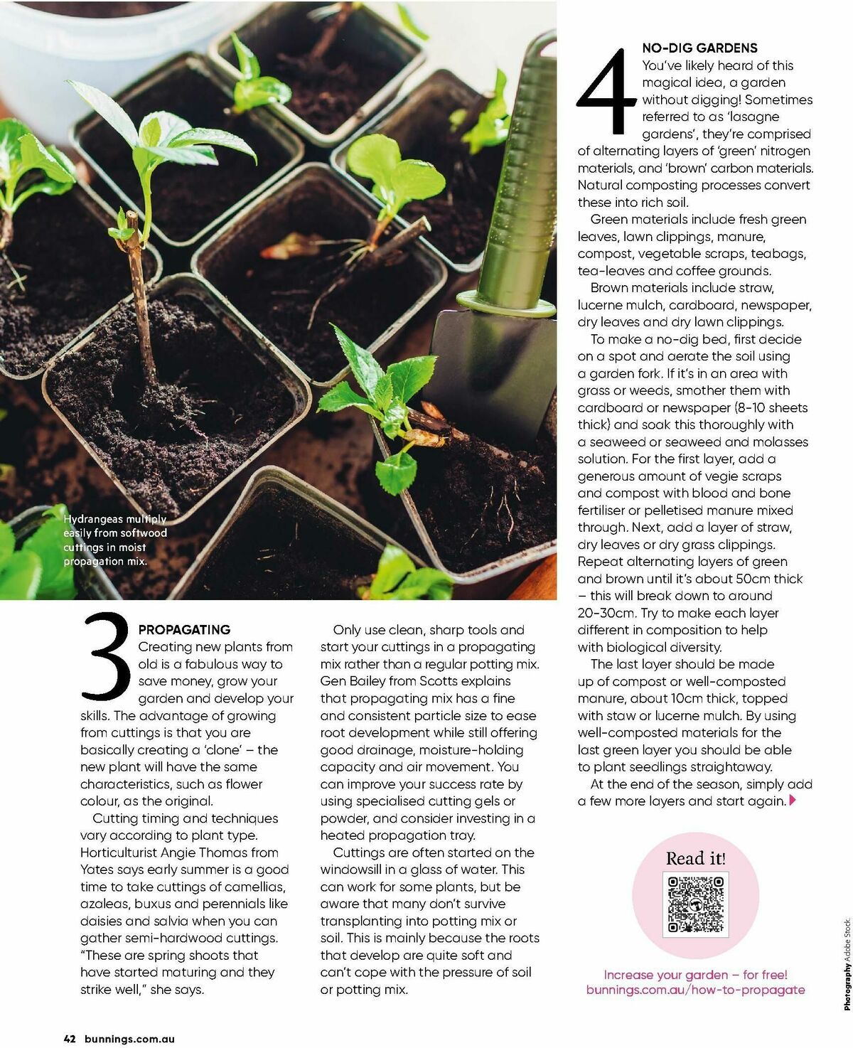 Bunnings Warehouse Magazine January Catalogues from 1 January