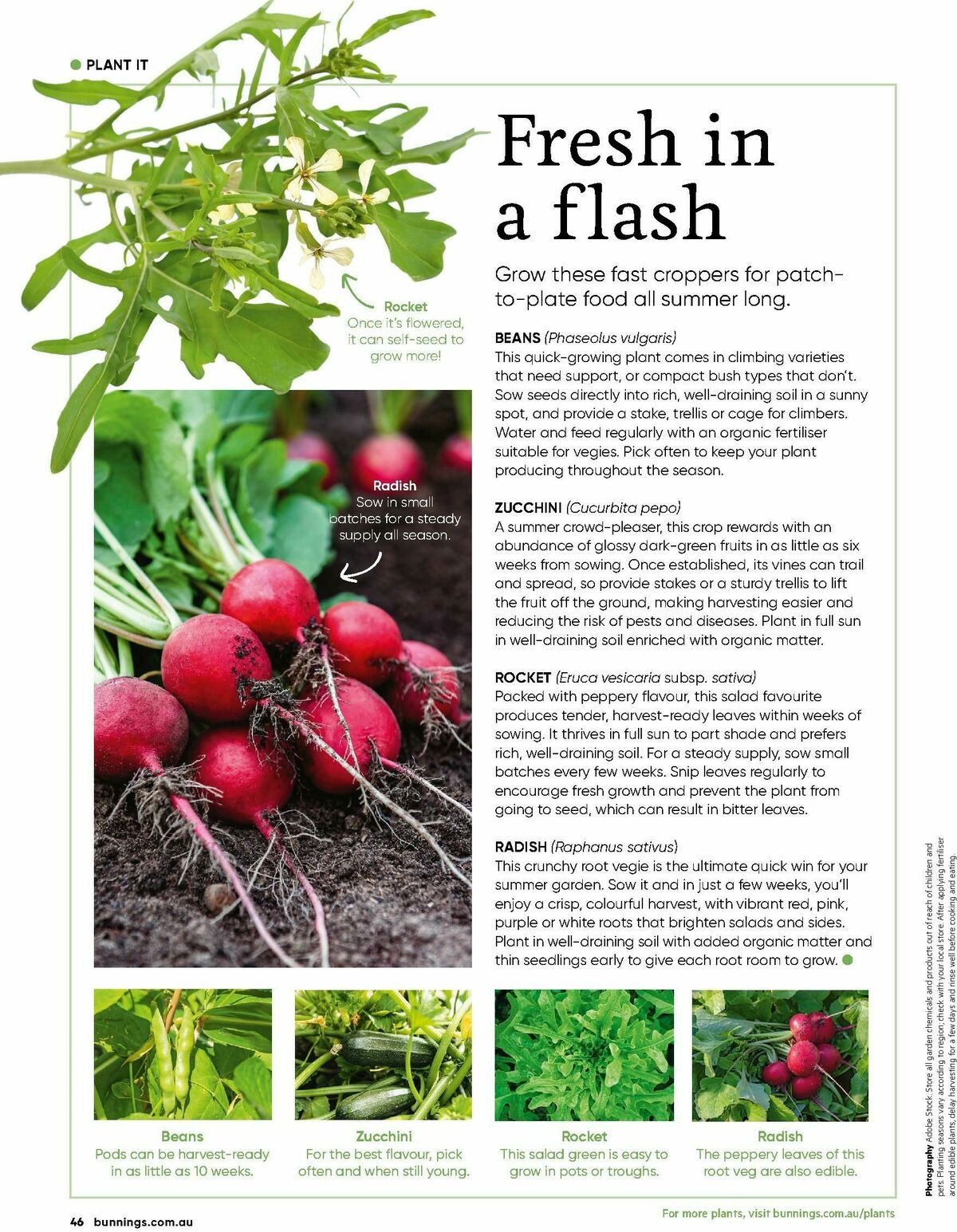 Bunnings Warehouse Magazine January Catalogues from 1 January