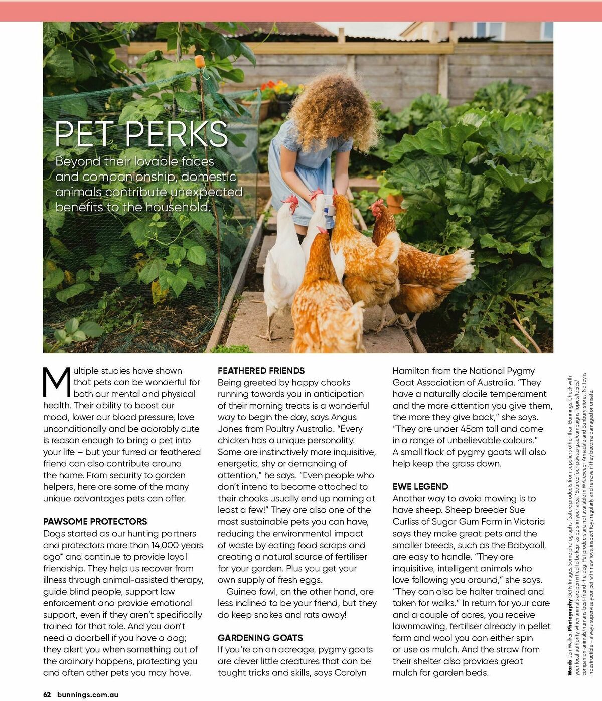 Bunnings Warehouse Magazine January Catalogues from 1 January