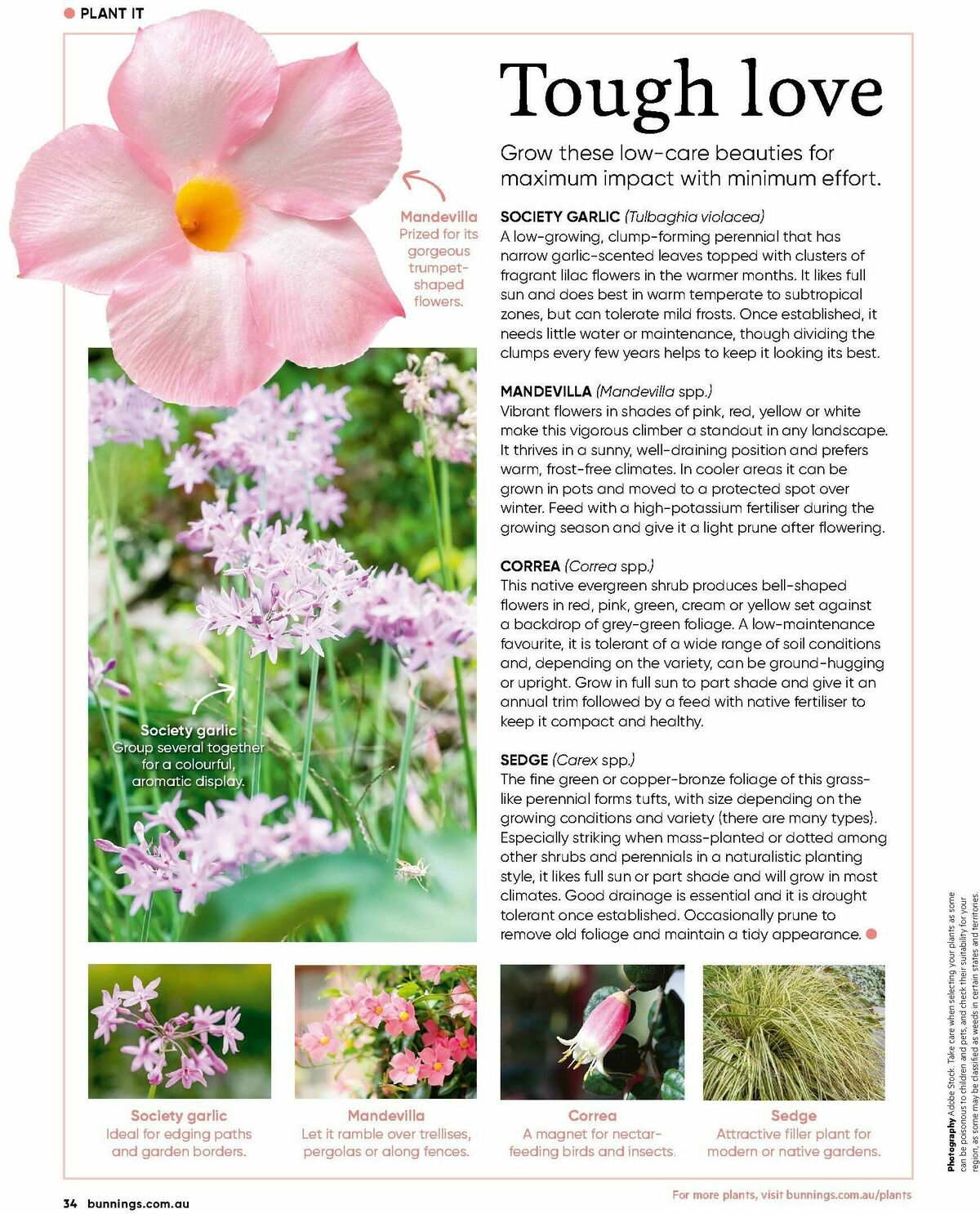 Bunnings Warehouse Magazine February Catalogues from 1 February