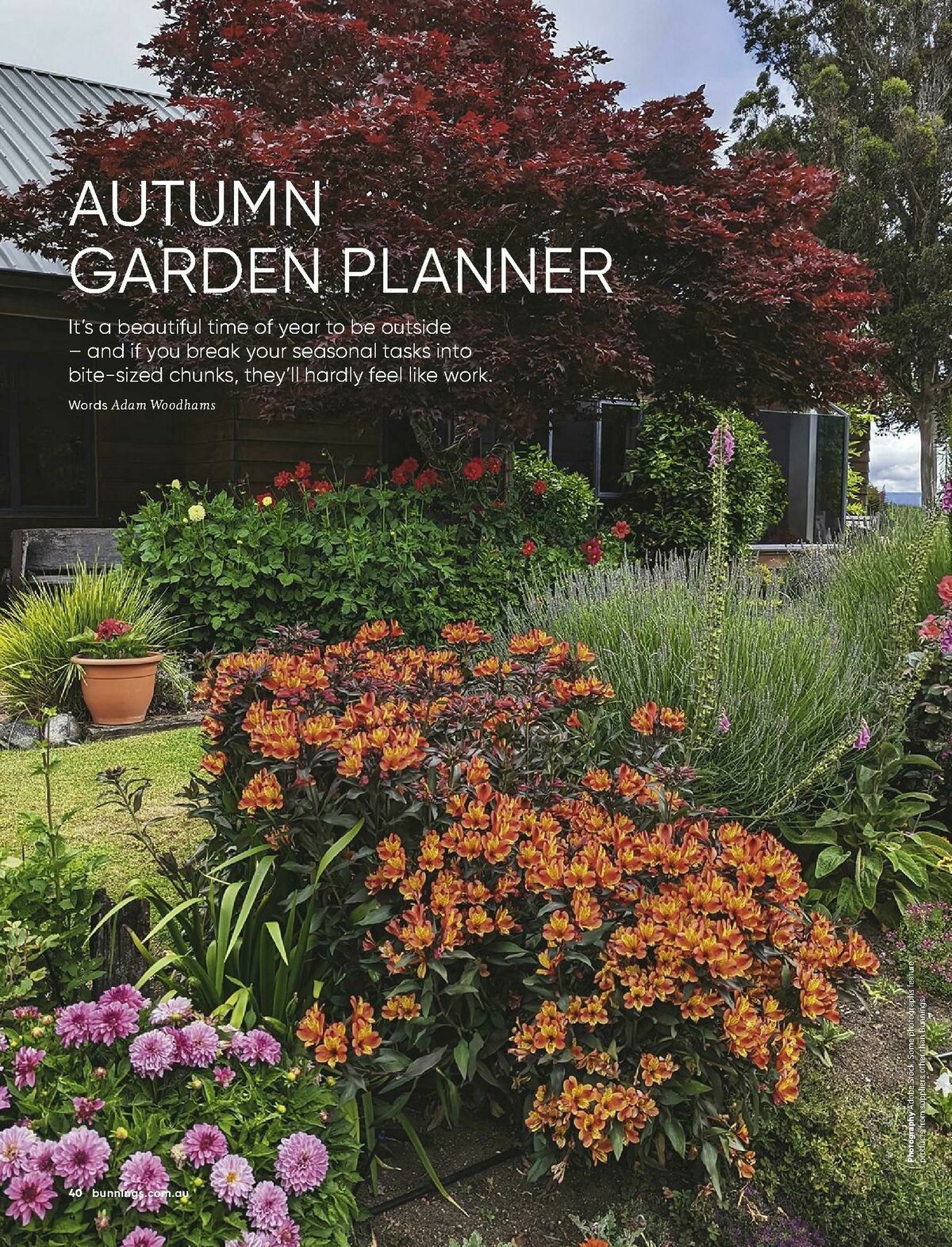 Bunnings Warehouse Magazine March Catalogues from 1 March