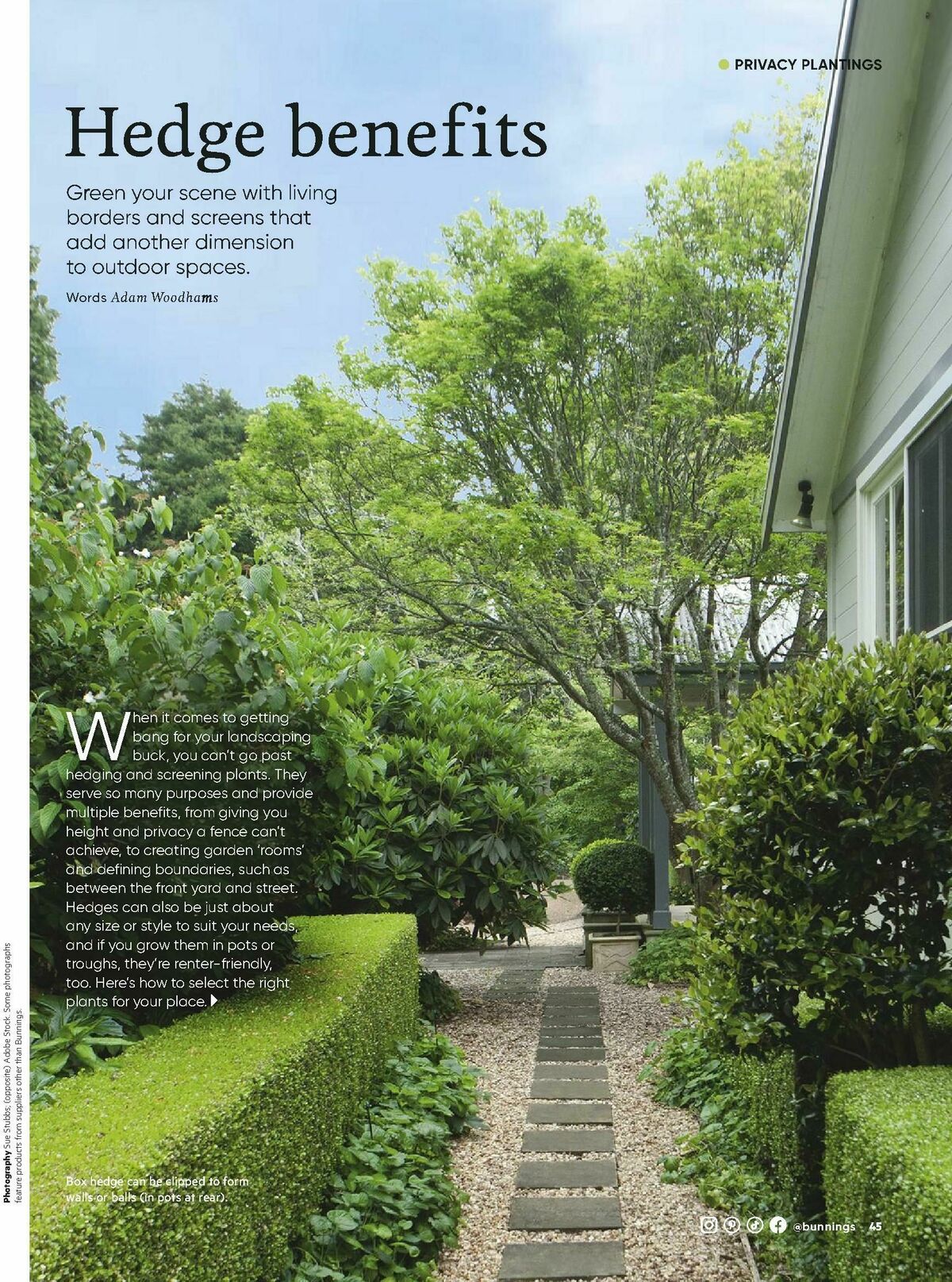 Bunnings Warehouse Magazine March Catalogues from 1 March