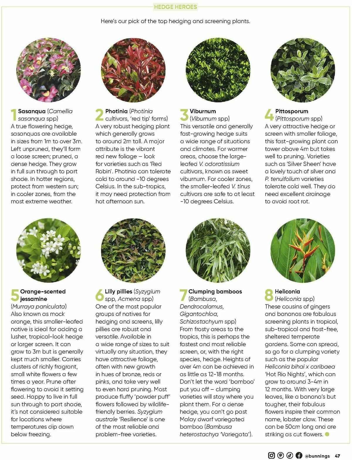 Bunnings Warehouse Magazine March Catalogues from 1 March