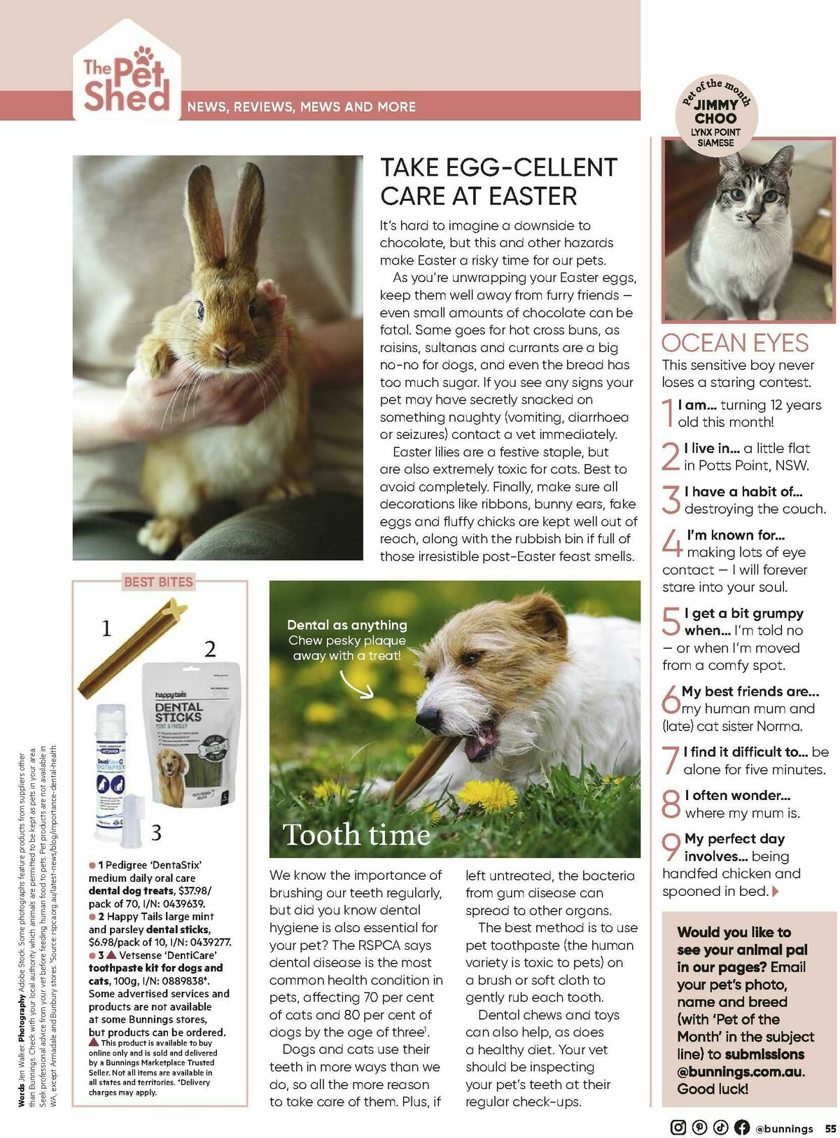 Bunnings Warehouse Magazine March Catalogues from 1 March