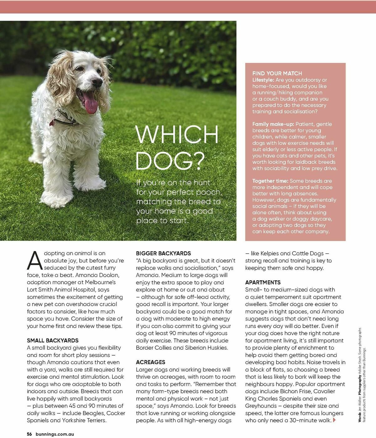 Bunnings Warehouse Magazine March Catalogues from 1 March