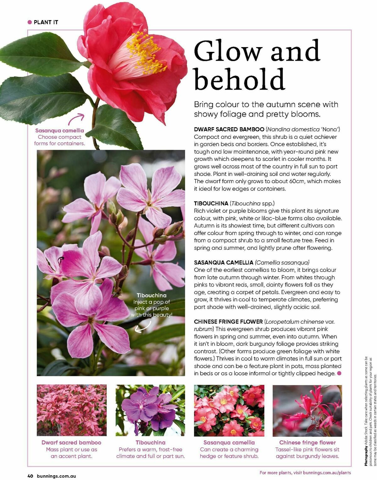 Bunnings Warehouse Magazine April Catalogues from 1 April