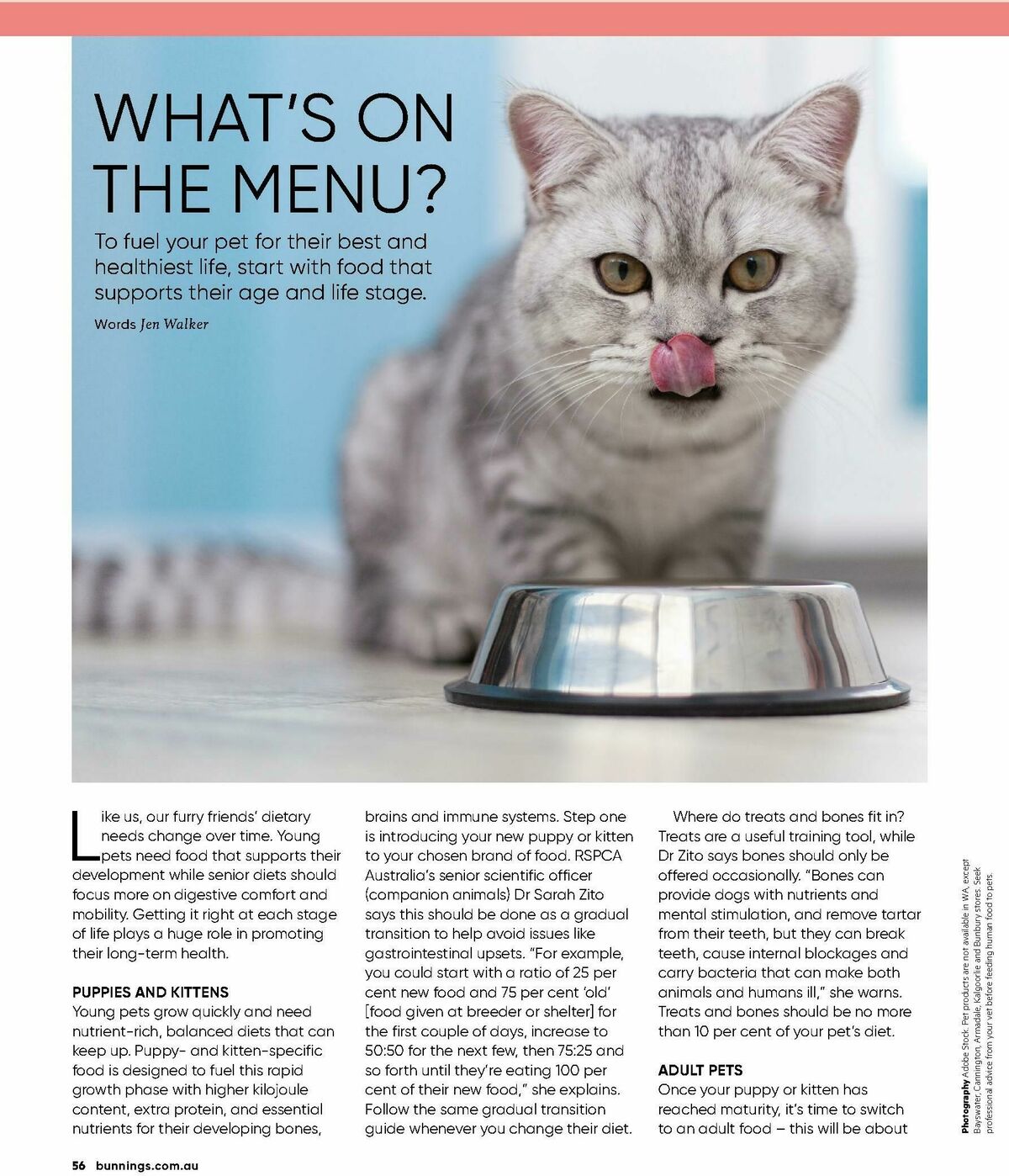 Bunnings Warehouse Magazine April Catalogues from 1 April