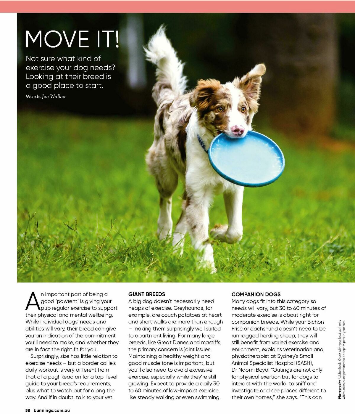 Bunnings Warehouse Magazine April Catalogues from 1 April