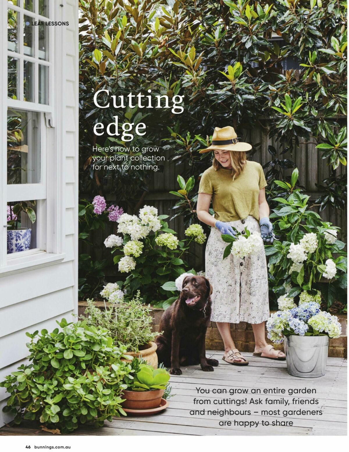 Bunnings Warehouse Magazine May/June Catalogues from 1 May