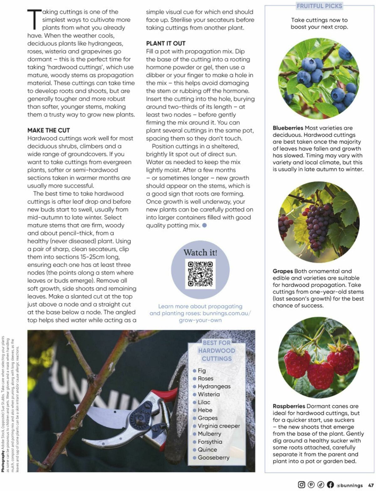 Bunnings Warehouse Magazine May/June Catalogues from 1 May