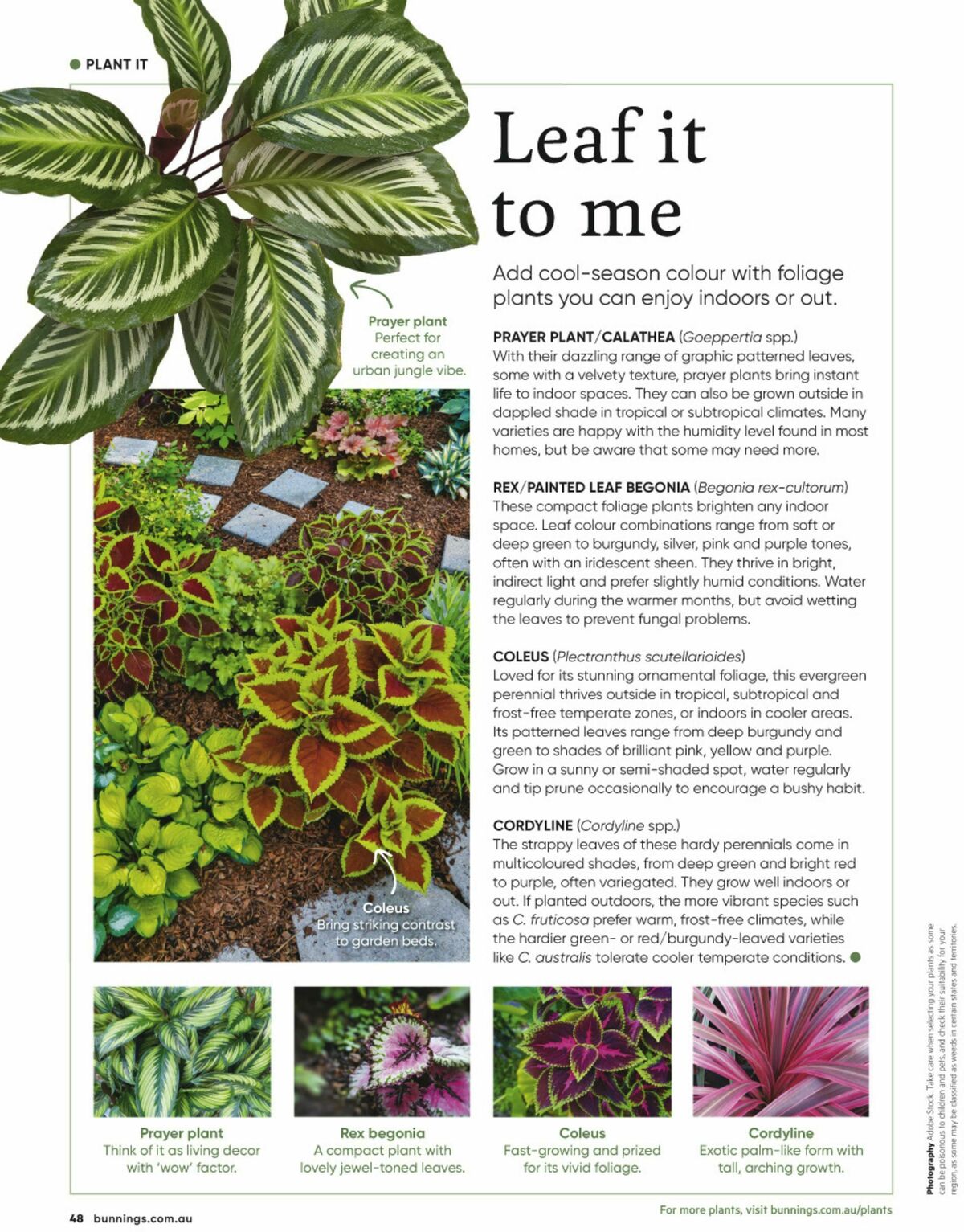 Bunnings Warehouse Magazine May/June Catalogues from 1 May
