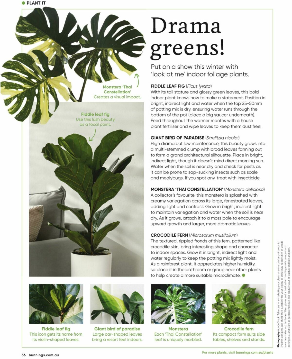 Bunnings Warehouse Magazine July Catalogues from 1 July