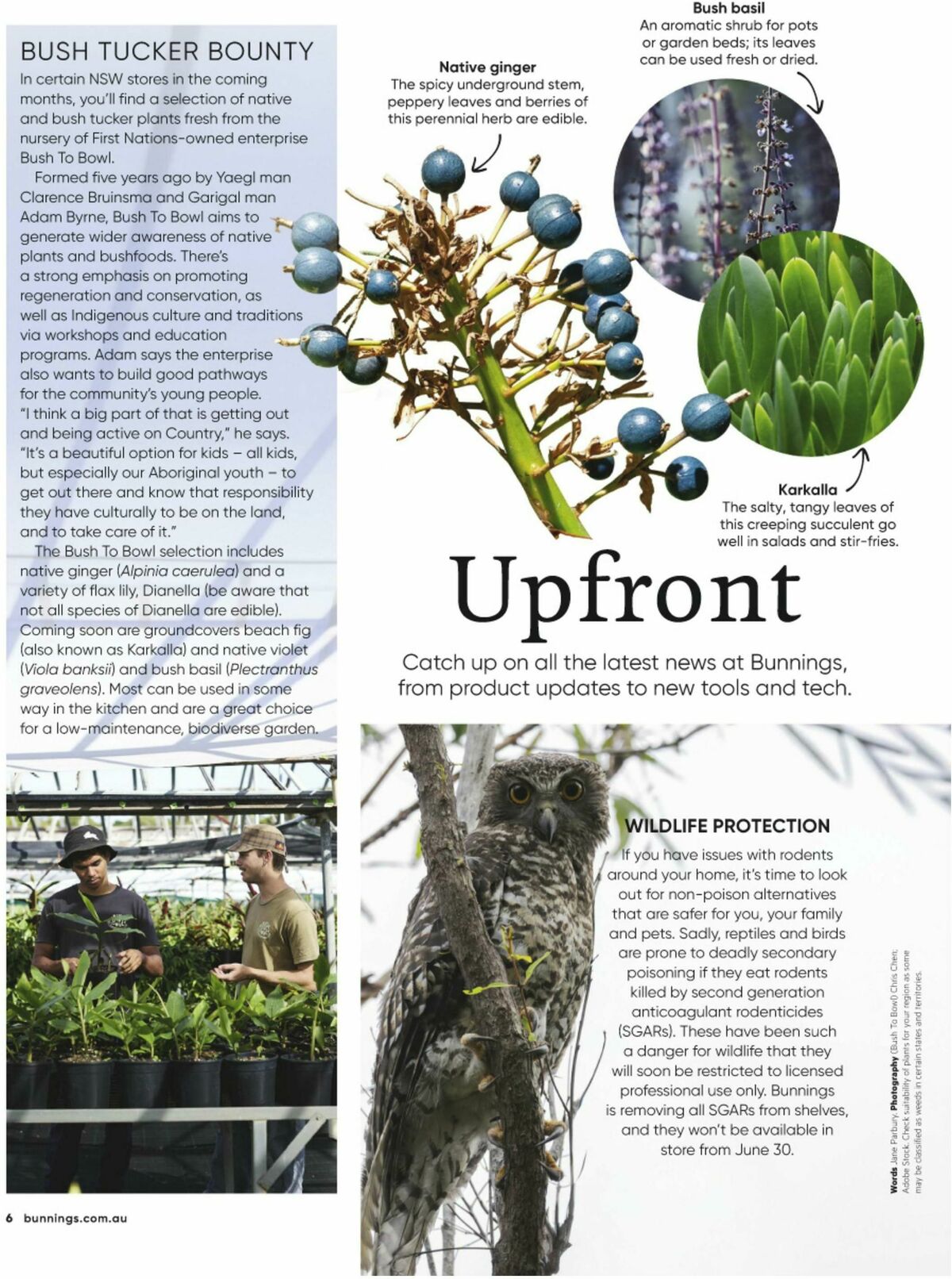 Bunnings Warehouse Magazine July Catalogues from 1 July