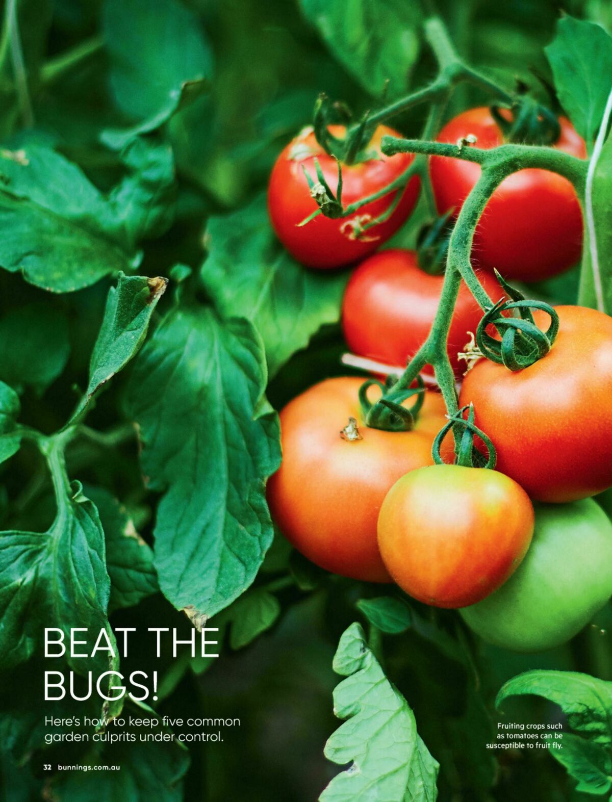 Bunnings Warehouse Magazine August Catalogues from 1 August