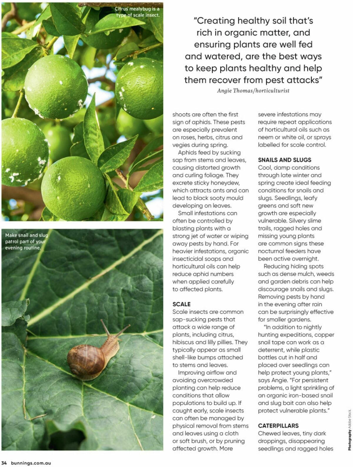 Bunnings Warehouse Magazine August Catalogues from 1 August
