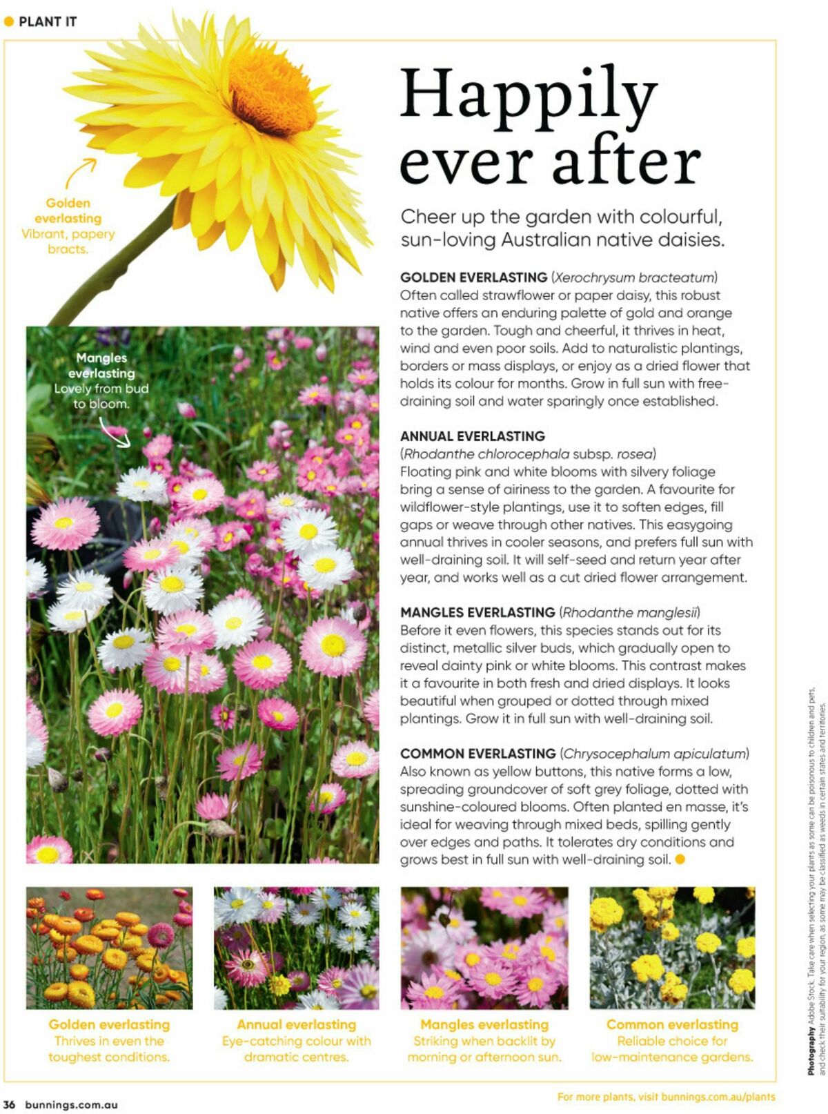 Bunnings Warehouse Magazine August Catalogues from 1 August