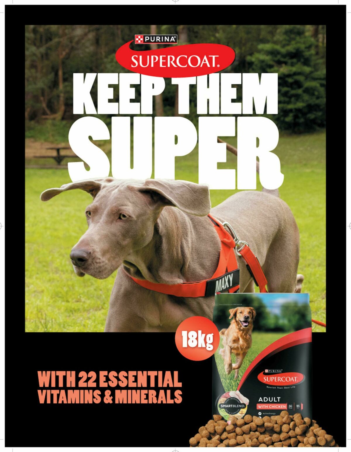 Bunnings Warehouse Magazine August Catalogues from 1 August