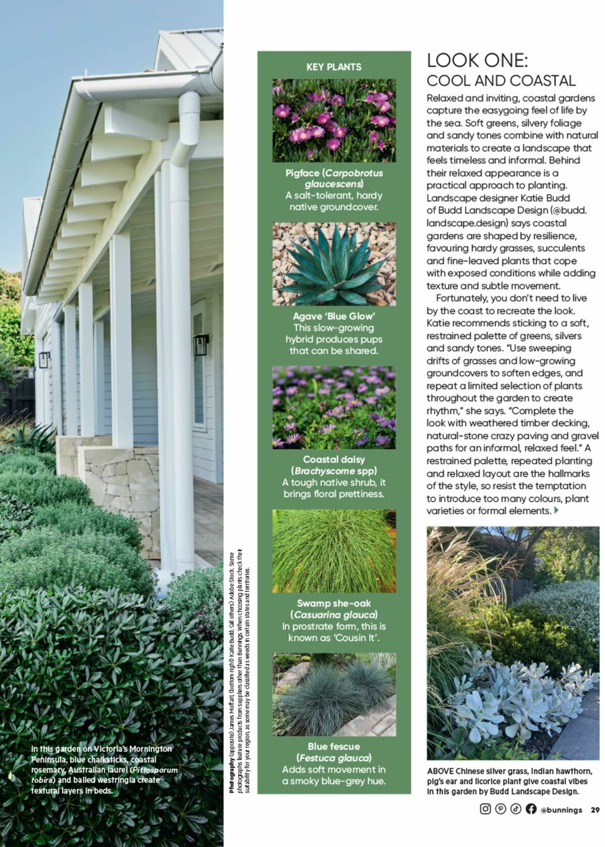 Bunnings Warehouse Magazine September Catalogues from 1 September