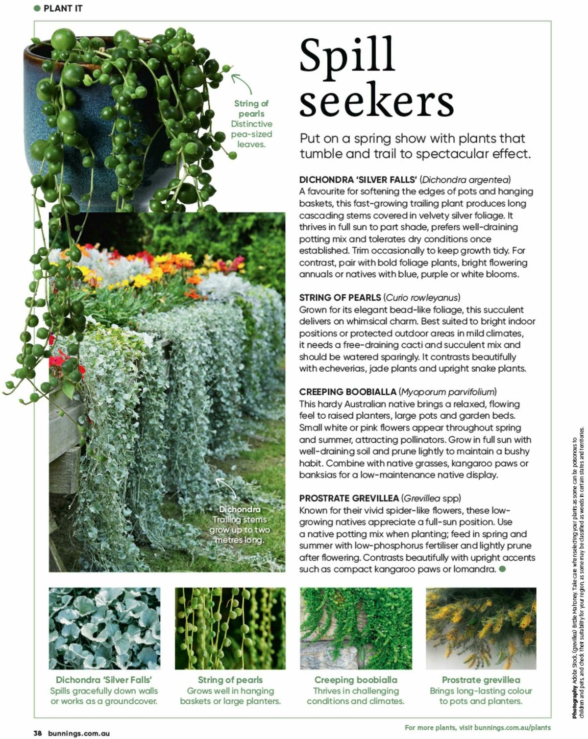 Bunnings Warehouse Magazine September Catalogues from 1 September