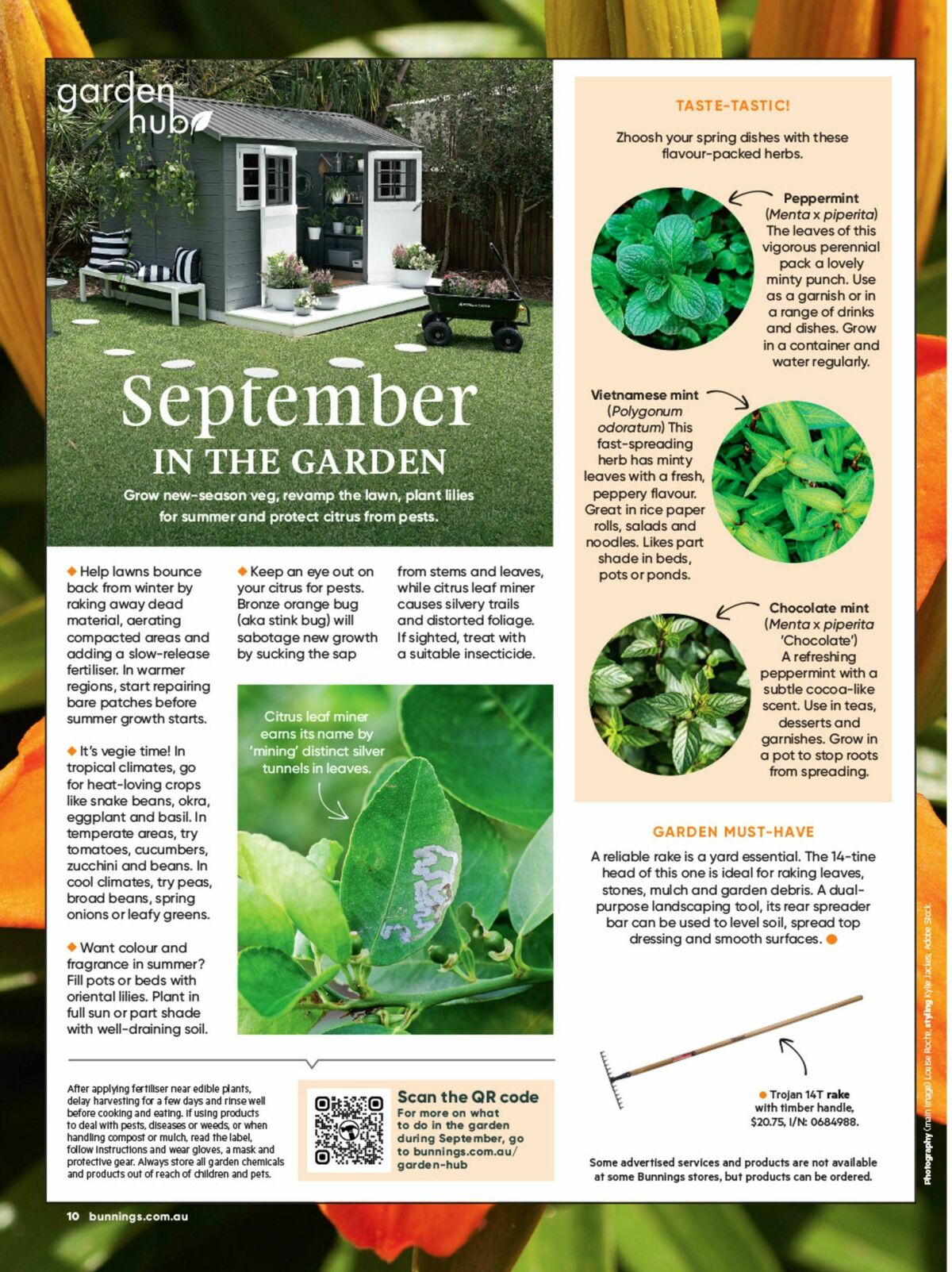 Bunnings Warehouse Magazine September Catalogues from 1 September