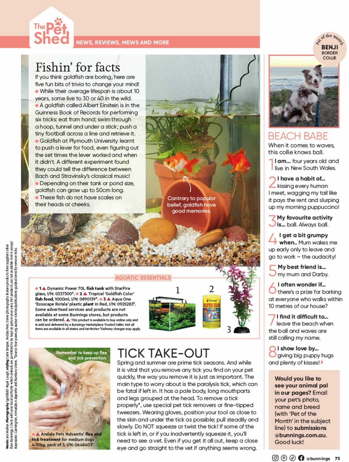 Bunnings Warehouse Magazine September Catalogues from 1 September