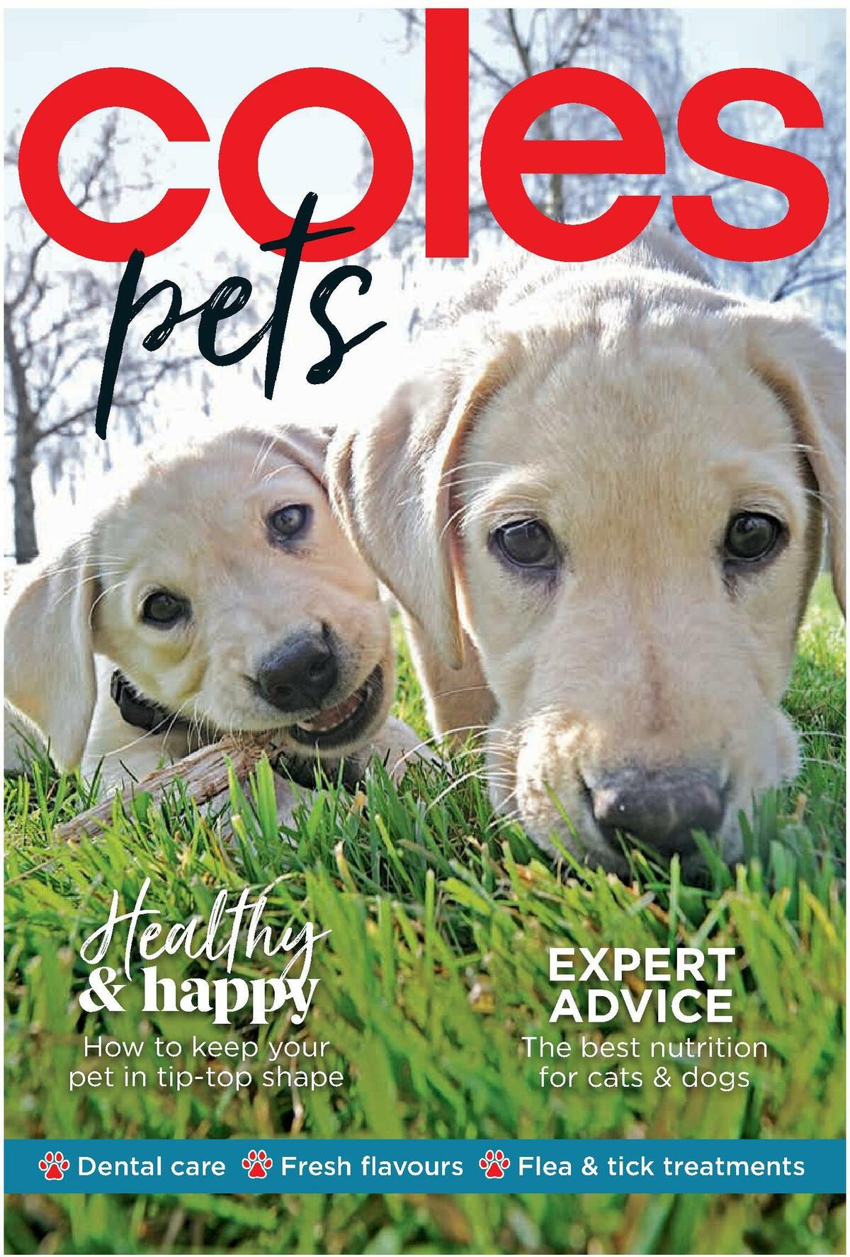 Coles Magazine October Catalogues from 1 October