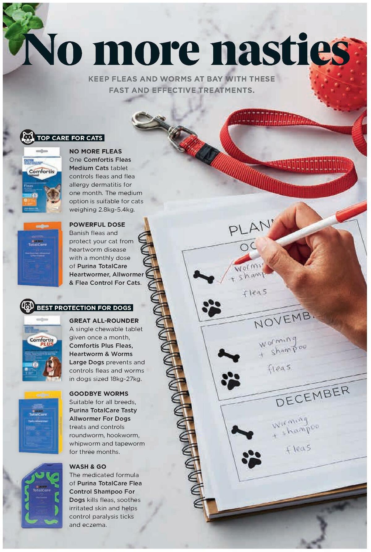 Coles Magazine October Catalogues from 1 October