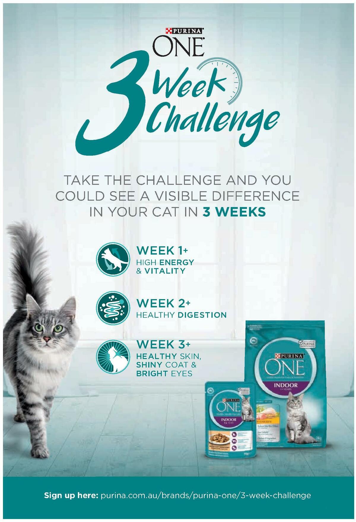 Coles Magazine October Catalogues from 1 October