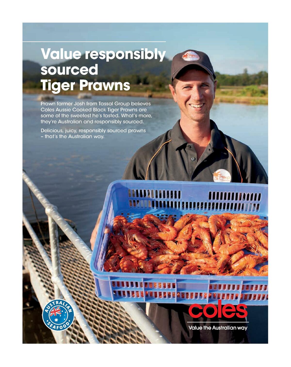 Coles Magazine November Catalogues from 1 November