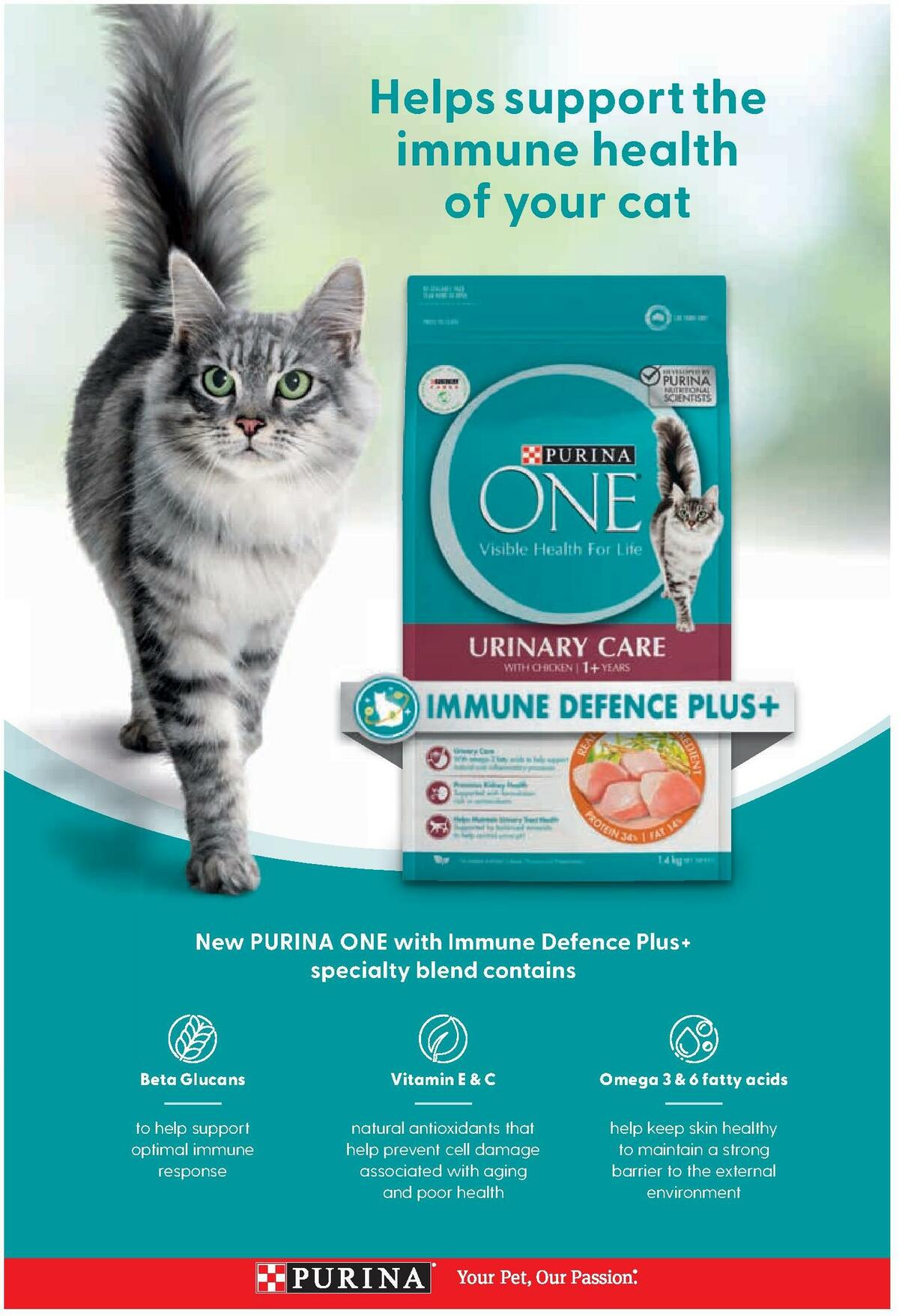 Coles Magazine October Catalogues from 1 October