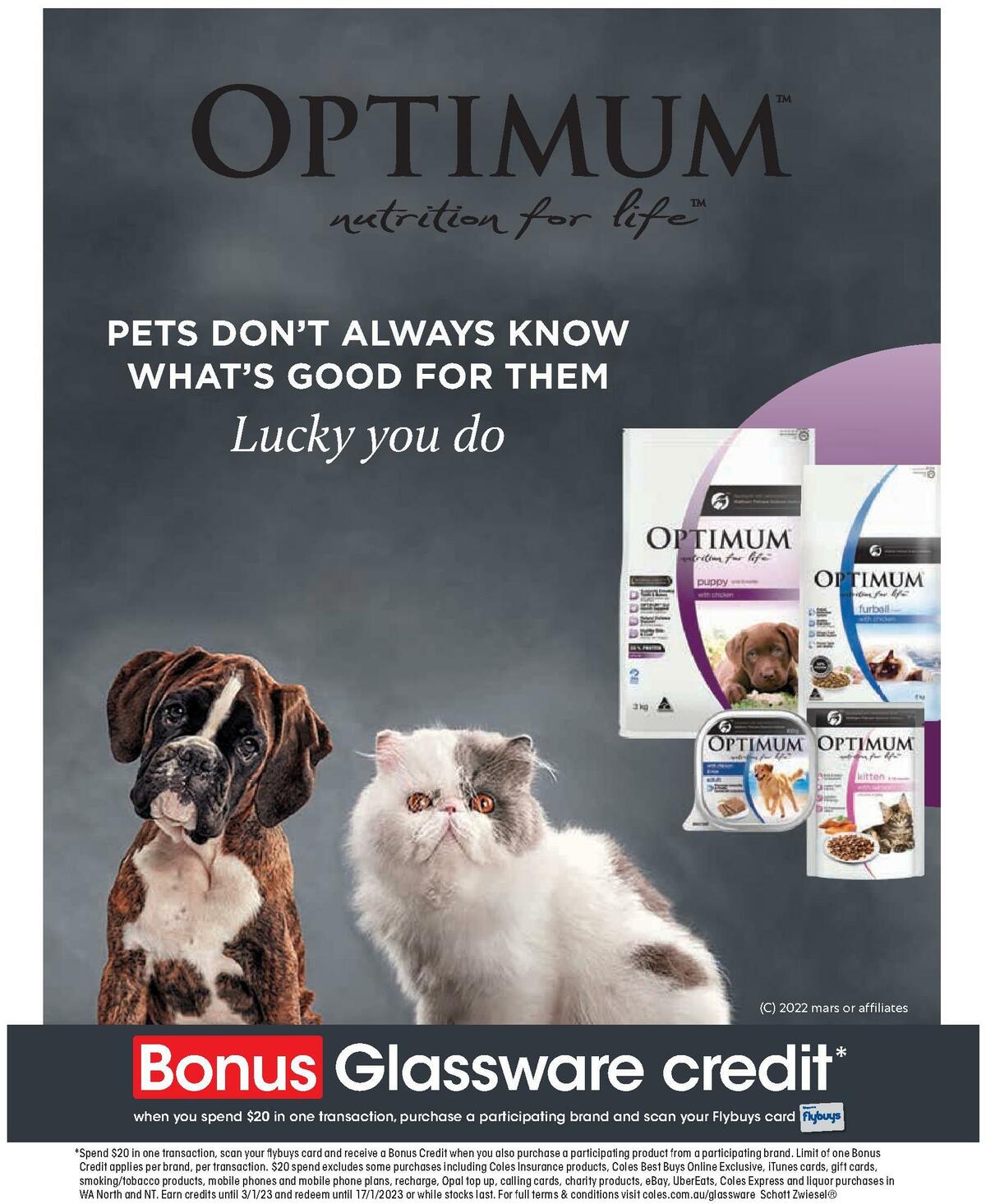 Coles Magazine November Catalogues from 1 November