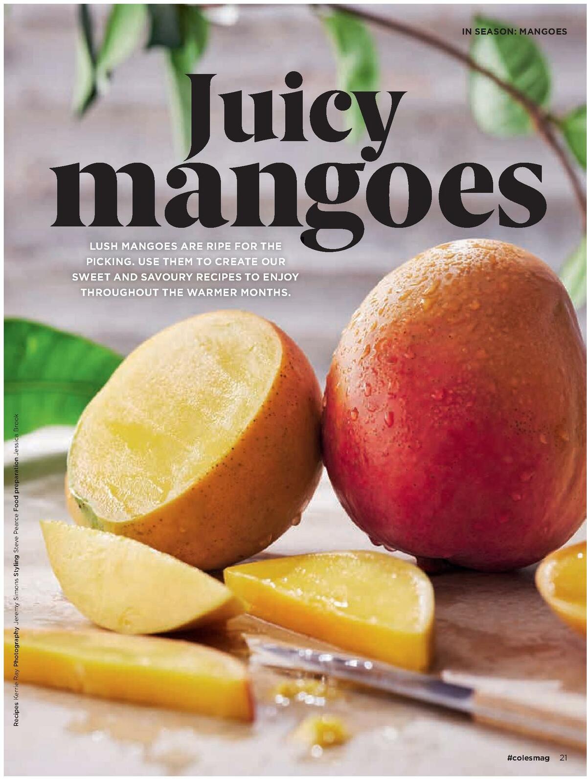 Coles Magazine November Catalogues from 1 November