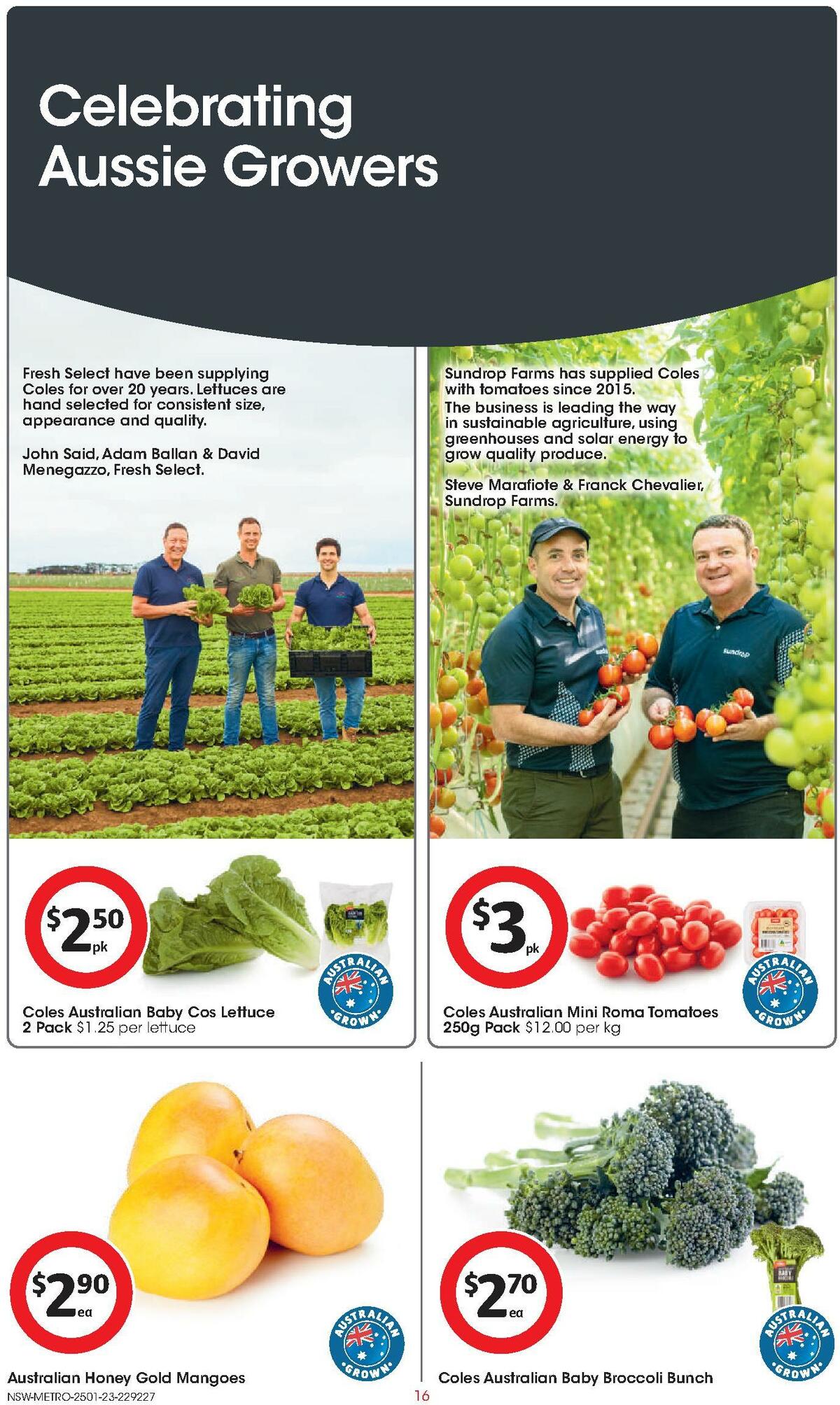 Coles Catalogues from 25 January