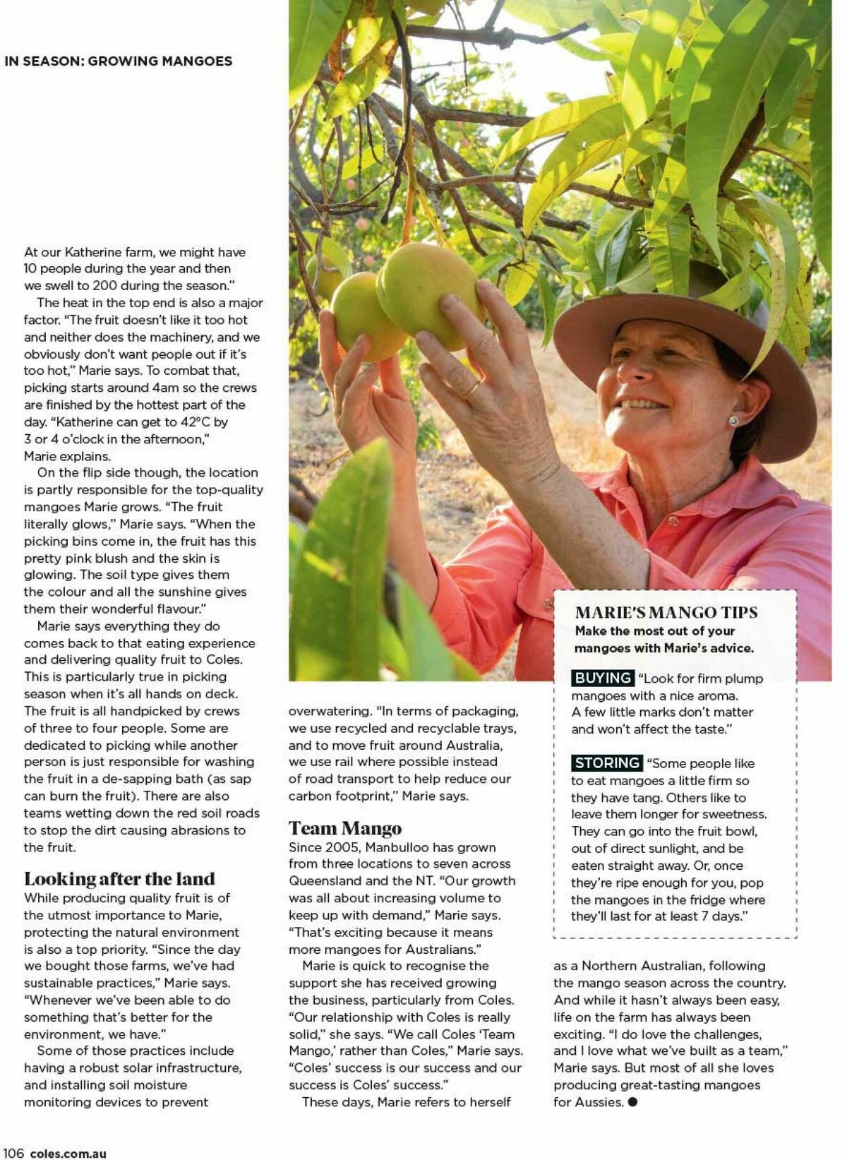 Coles November Catalogues from 1 November