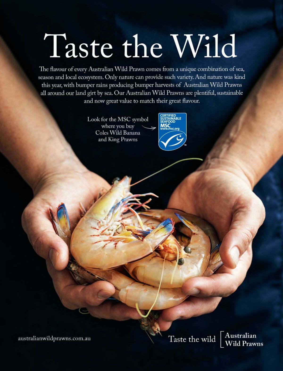 Coles Magazine December Catalogues from 7 December