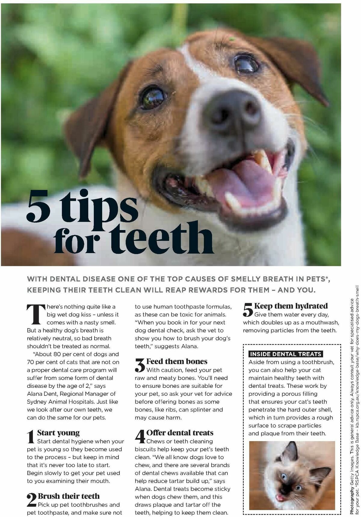 Coles Magazine May Catalogues from 4 May