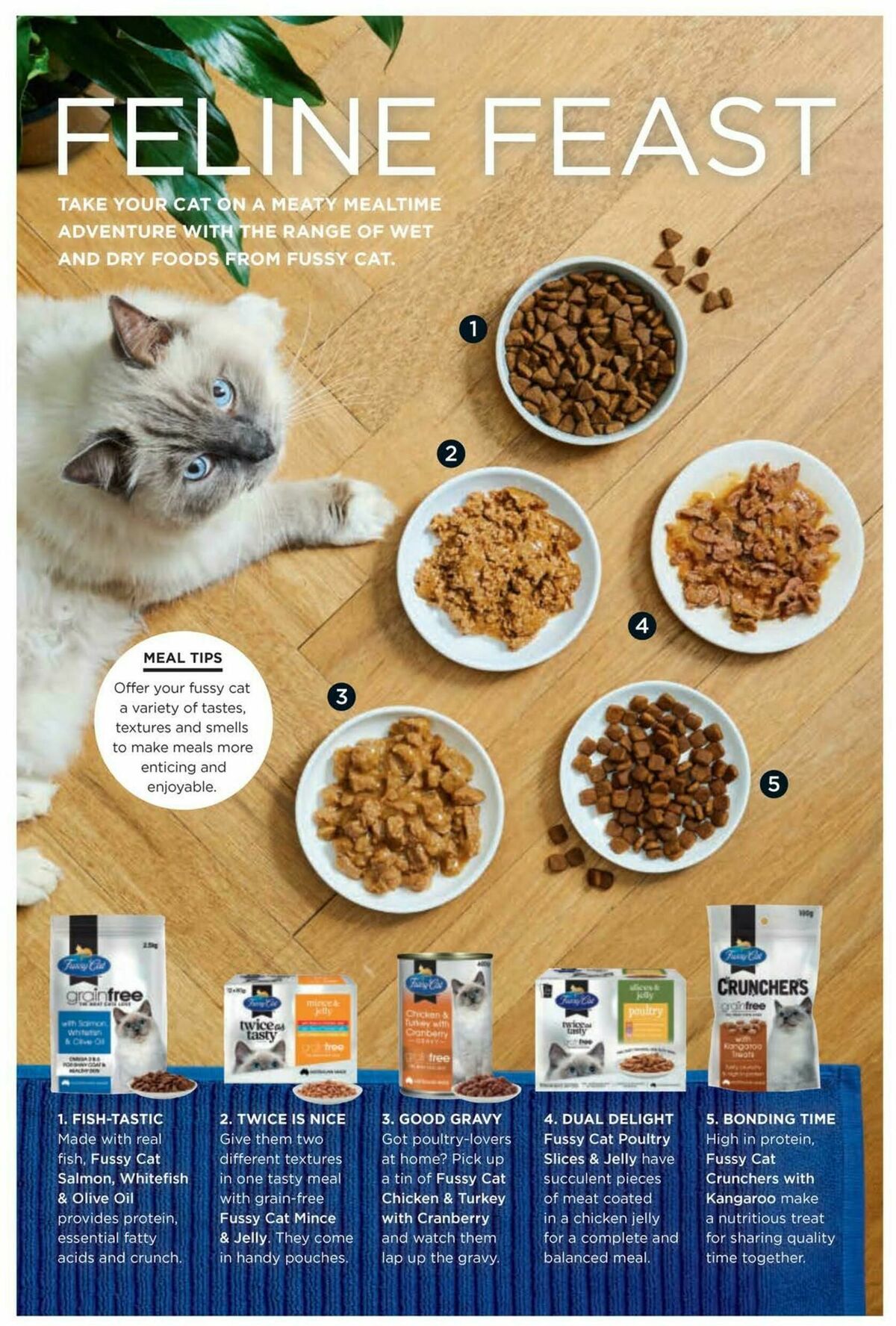 Coles Magazine May Catalogues from 1 May