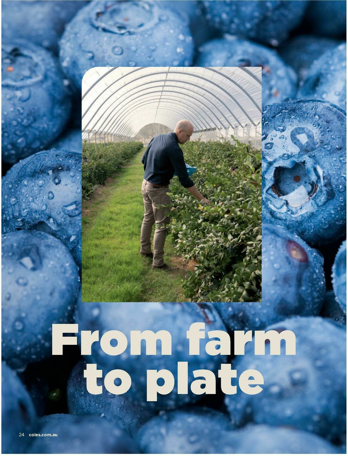 Coles Magazine September Catalogues from 1 September