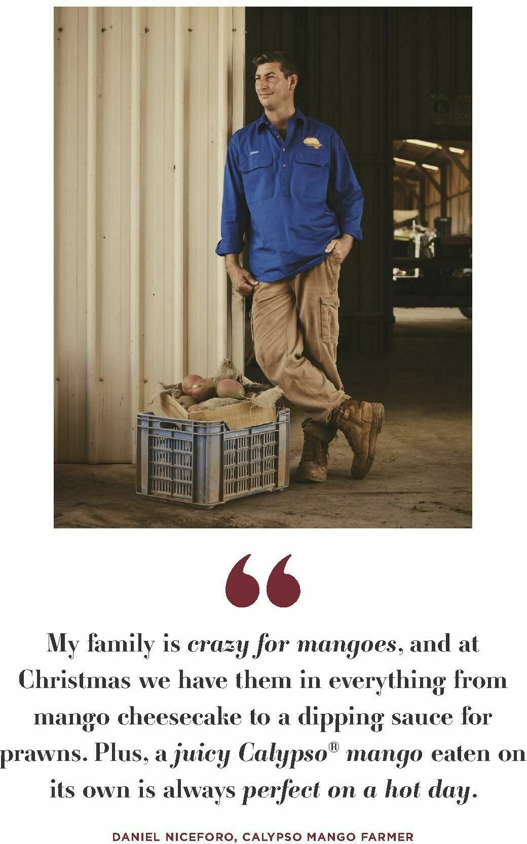 Coles Your Guide to the Festive Season Catalogues from 6 November