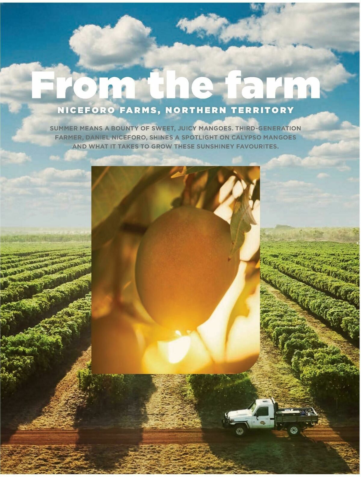 Coles Magazine November Catalogues from 1 November