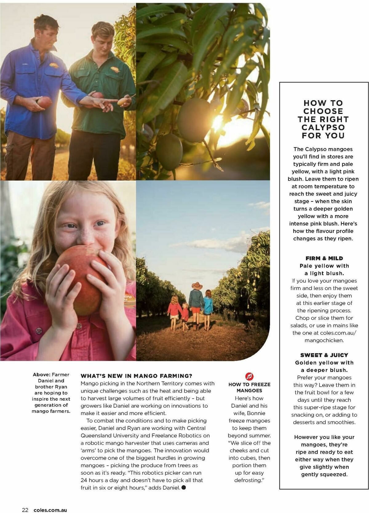 Coles Magazine November Catalogues from 1 November